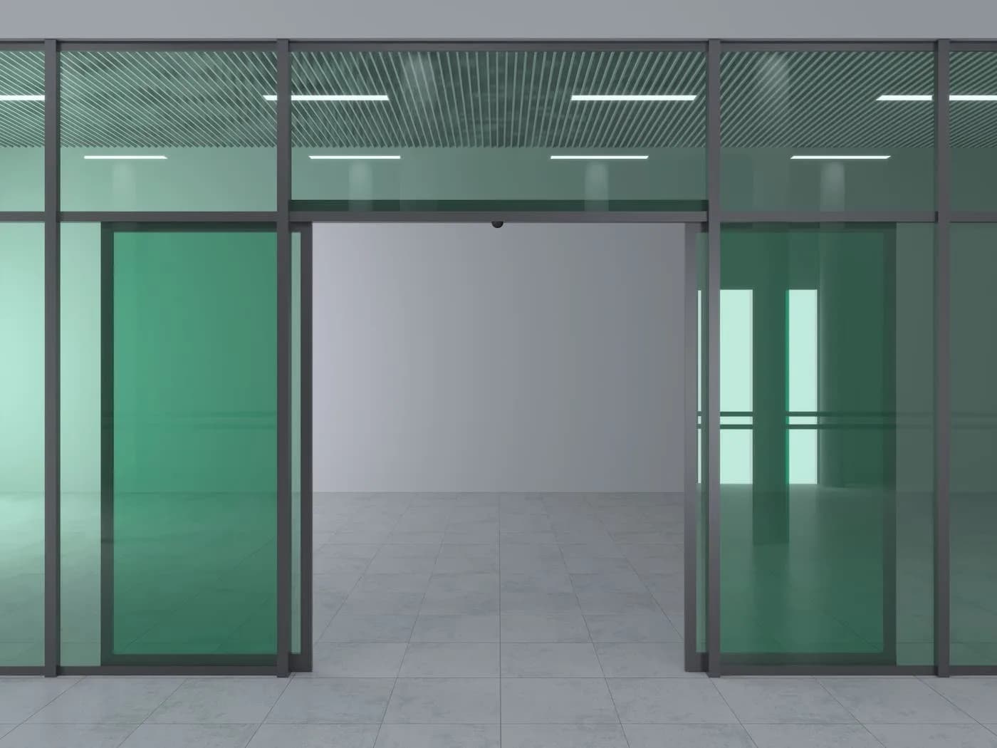 Automatic Doors installation and product detail